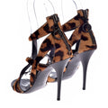 Giuseppe Zanotti