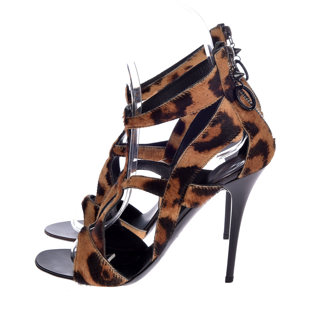 Giuseppe Zanotti