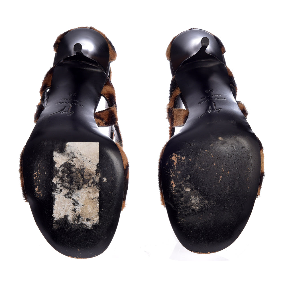 Giuseppe Zanotti